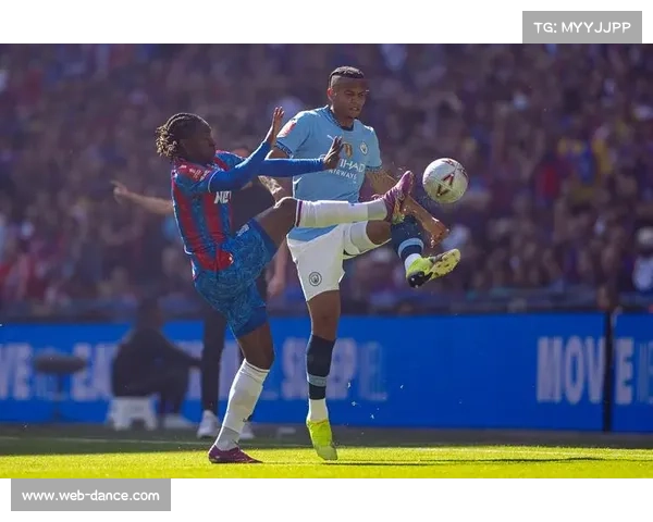 英超球迷调查显示，现场观赛体验满意度上升